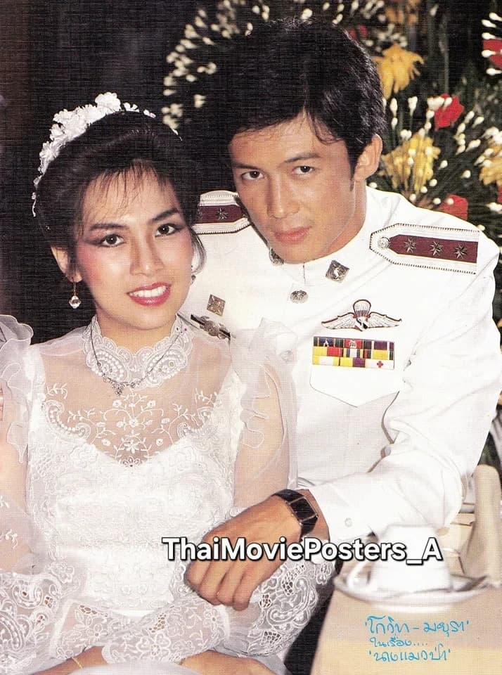 โปสเตอร์ภาพยนตร์ นางแมวป่า ใช้เป็นพื้นหลัง