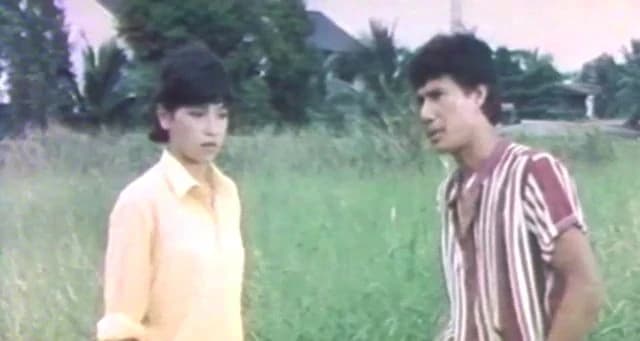 โปสเตอร์ภาพยนตร์ แม่ดอกกระถิน ใช้เป็นพื้นหลัง