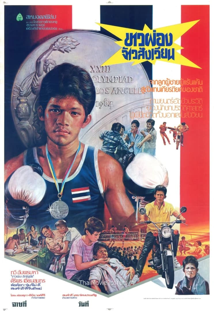 โปสเตอร์ภาพยนตร์ ขาวผ่องจ้าวสังเวียน ใช้เป็นพื้นหลัง