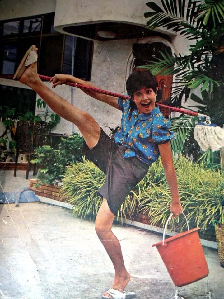 โปสเตอร์ภาพยนตร์ บ้านสาวโสด ใช้เป็นพื้นหลัง