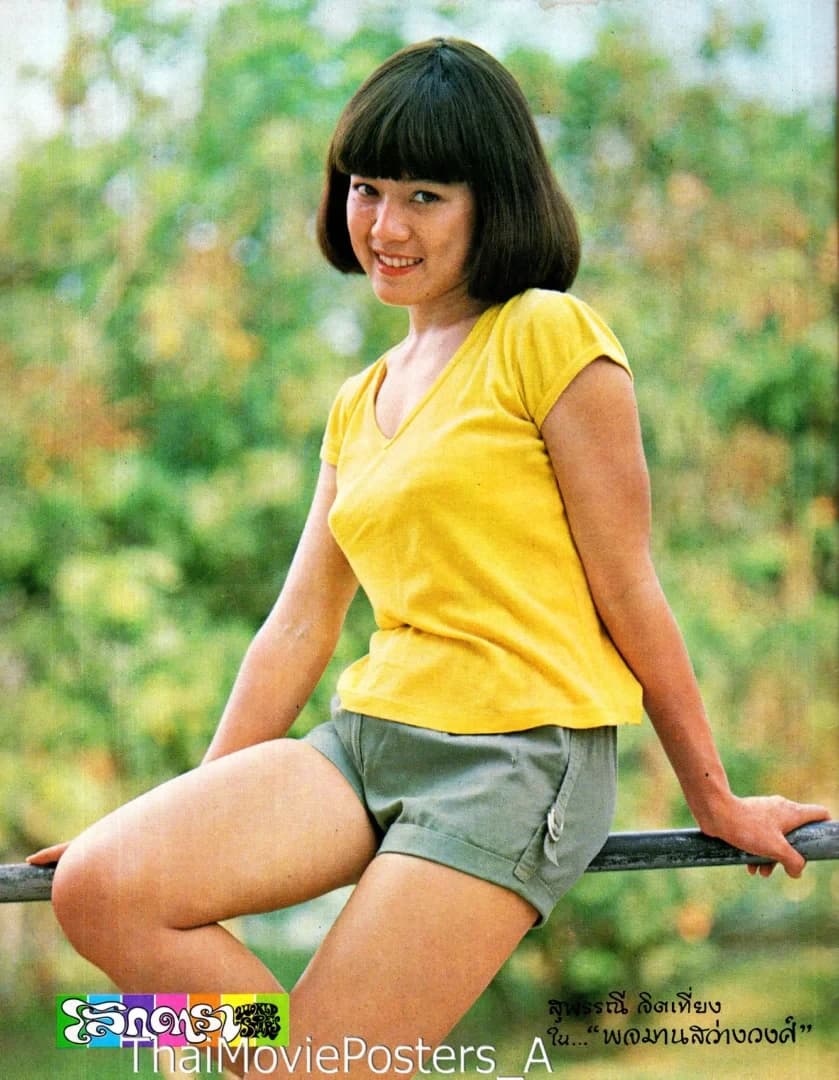 โปสเตอร์ภาพยนตร์ ยันต์สู้ปืน ใช้เป็นพื้นหลัง