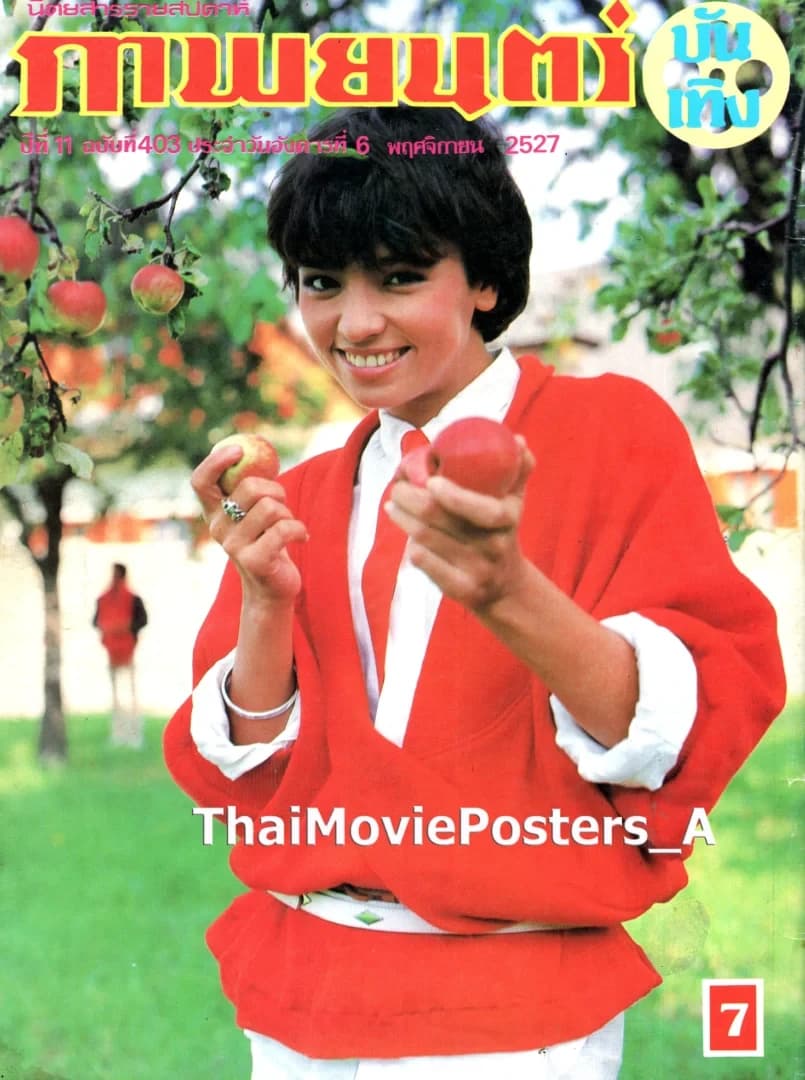 โปสเตอร์ภาพยนตร์ เลดี้ฝรั่งดอง ใช้เป็นพื้นหลัง