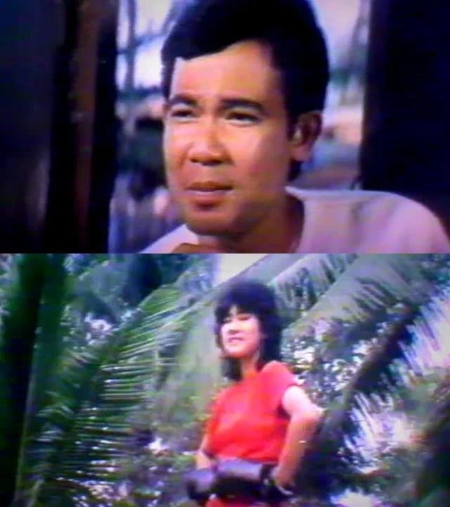 โปสเตอร์ภาพยนตร์ สาลิกาลิ้นทอง ใช้เป็นพื้นหลัง