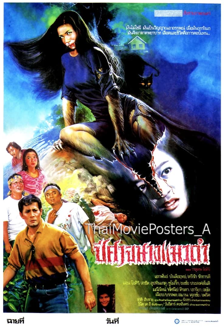 โปสเตอร์ภาพยนตร์ ปีศาจนางแมวดำ ใช้เป็นพื้นหลัง