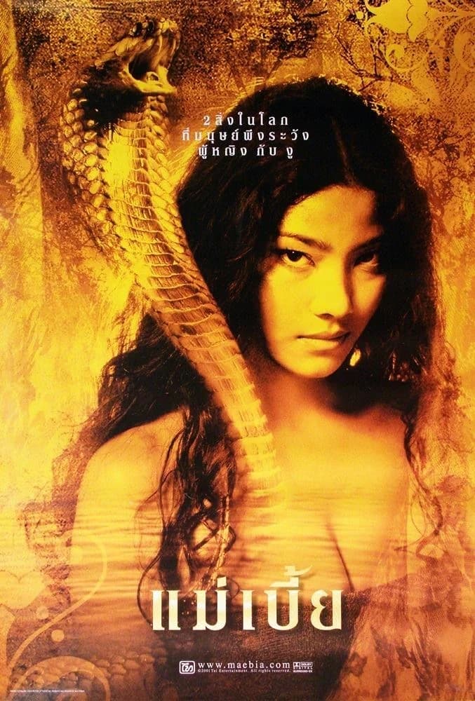 โปสเตอร์ภาพยนตร์ แม่เบี้ย ใช้เป็นพื้นหลัง