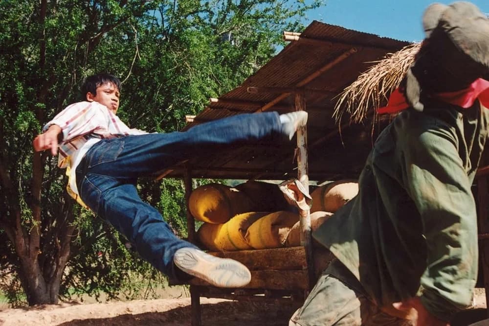 โปสเตอร์ภาพยนตร์ เกิดมาลุย ใช้เป็นพื้นหลัง