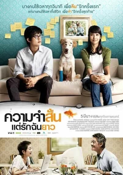 โปสเตอร์ภาพยนตร์ ความจำสั้น แต่รักฉันยาว ใช้เป็นพื้นหลัง
