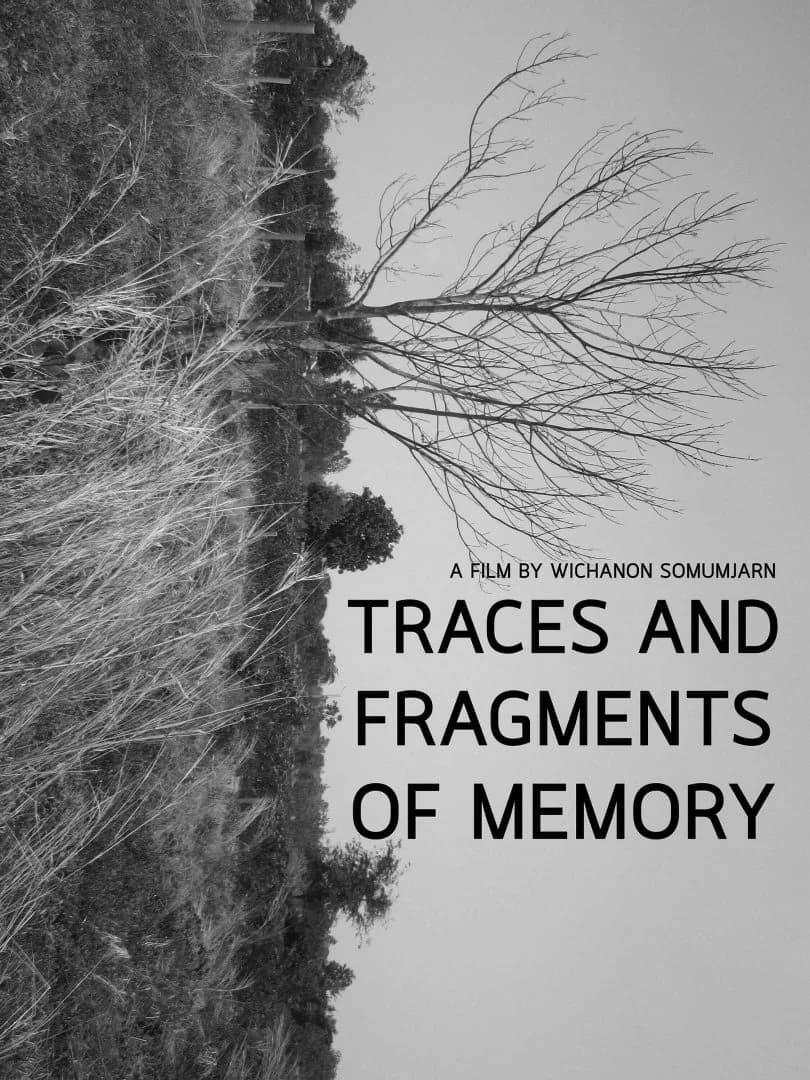 โปสเตอร์ภาพยนตร์ Traces and Fragments of Memory ใช้เป็นพื้นหลัง