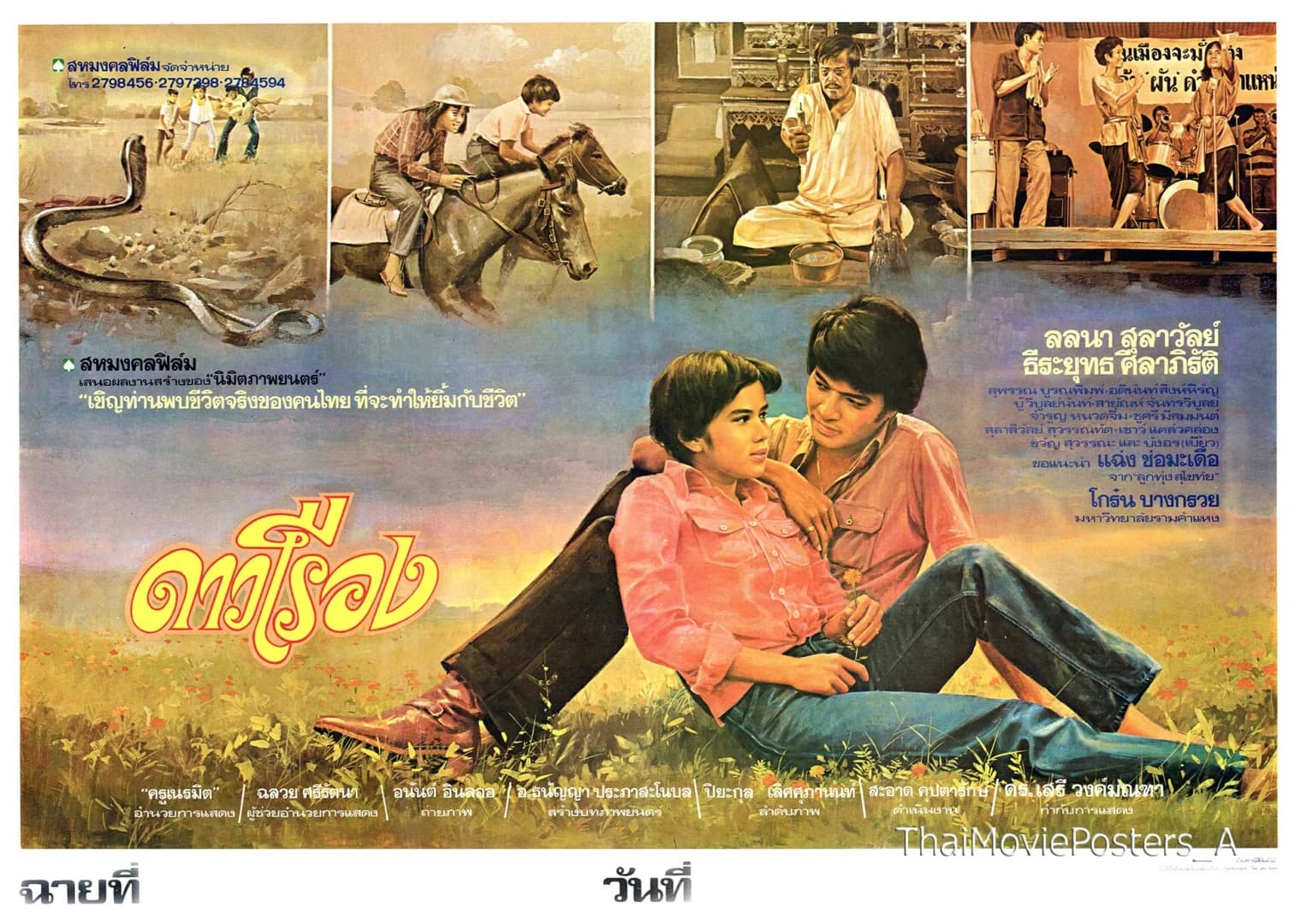 โปสเตอร์ภาพยนตร์ ดาวเรือง ใช้เป็นพื้นหลัง