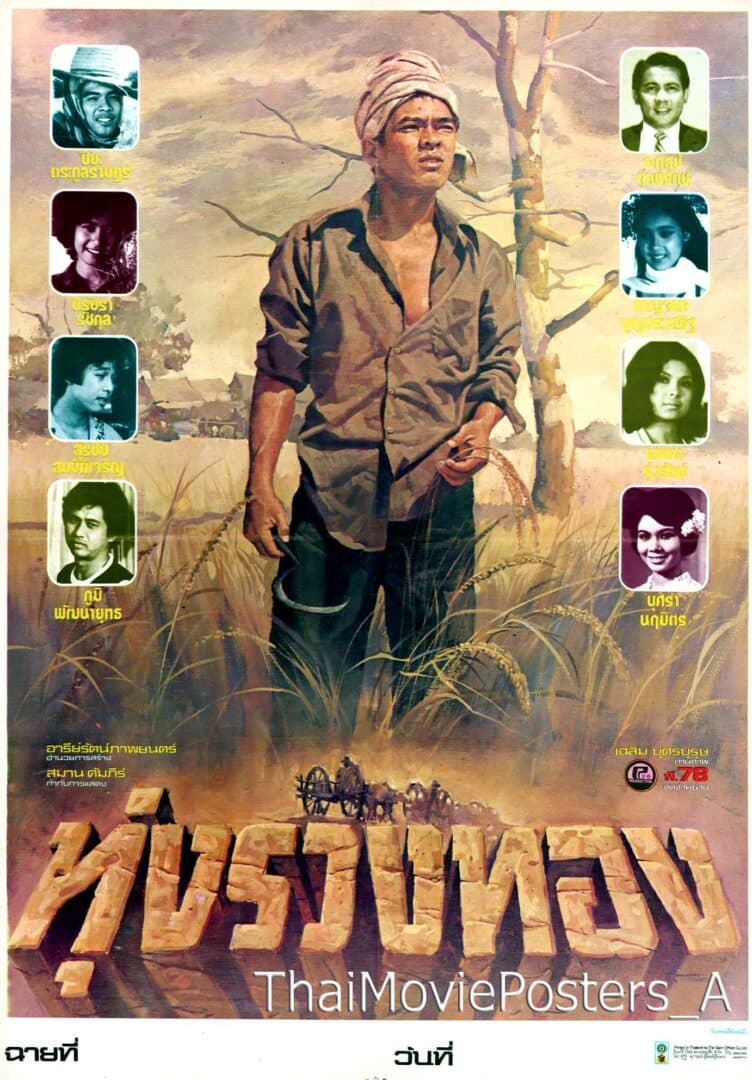 โปสเตอร์ภาพยนตร์ ทุ่งรวงทอง ใช้เป็นพื้นหลัง