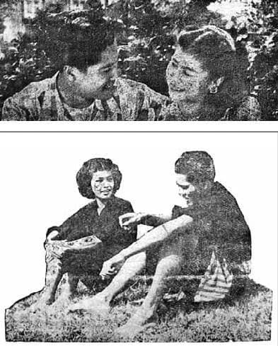 โปสเตอร์ภาพยนตร์ ทางชีวิต ใช้เป็นพื้นหลัง