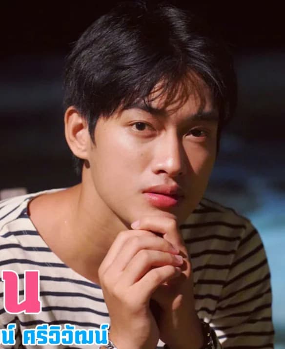 ป่าน นันทวัฒน์ ศรีวิวัฒน์