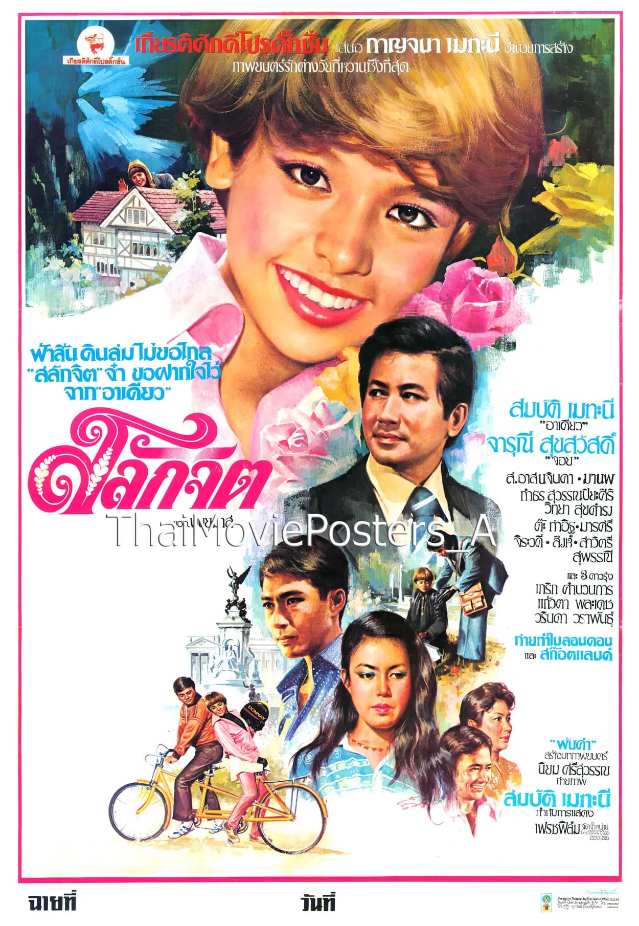 โปสเตอร์ภาพยนตร์ สลักจิต ใช้เป็นพื้นหลัง